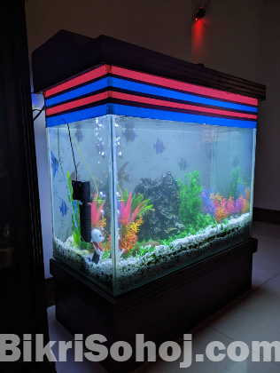 Aquarium (একুরিয়াম )